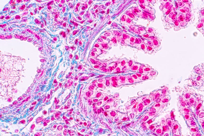 METex14 突變 NSCLC 新藥 tepotinib 獲 FDA 核准
