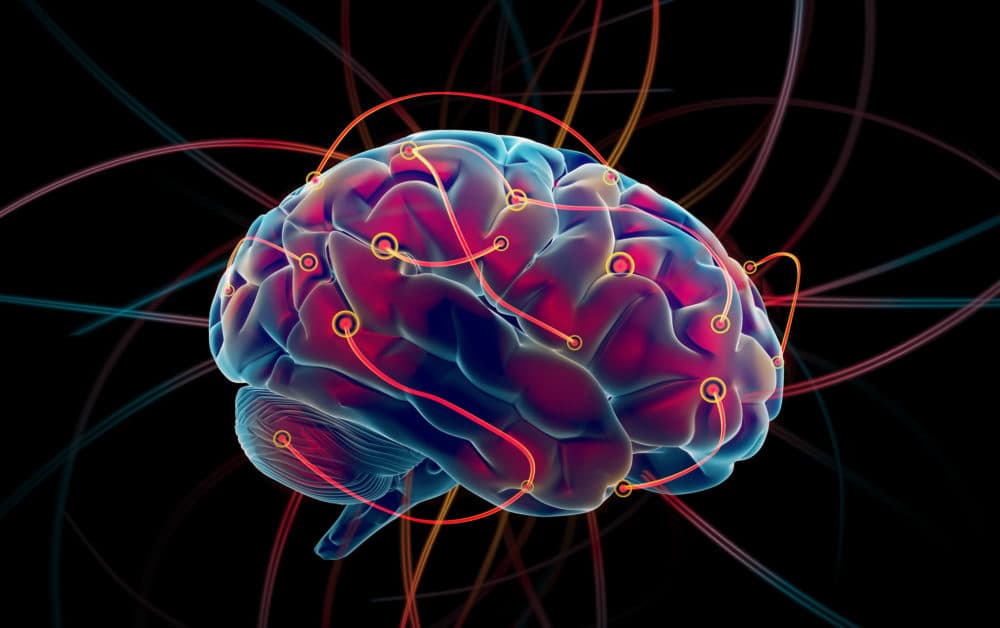 人體死後，大腦喪屍細胞仍生長且基因活化？
