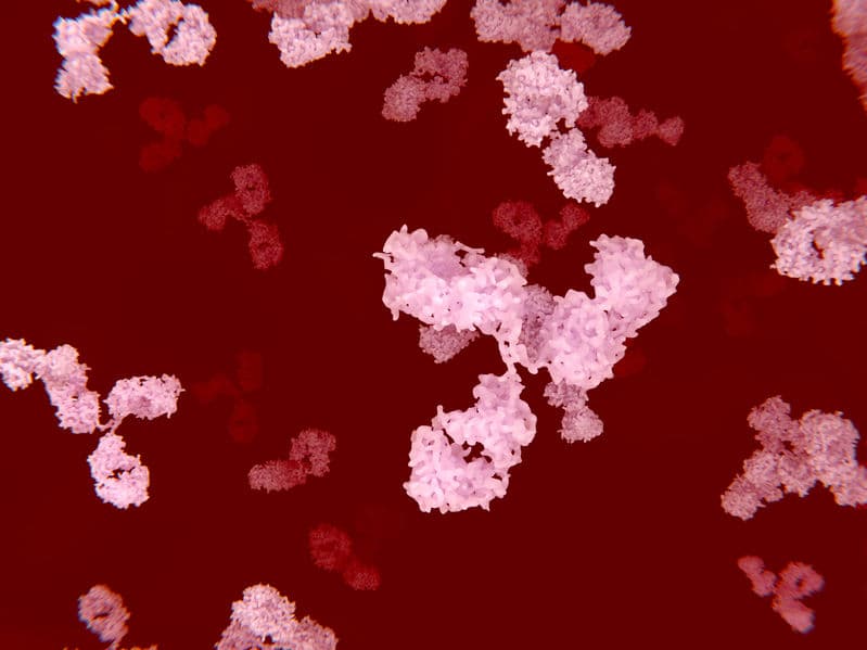 進入重組兔單抗為主的抗體 3.0 時代!ABclonal 收購 Yurogen