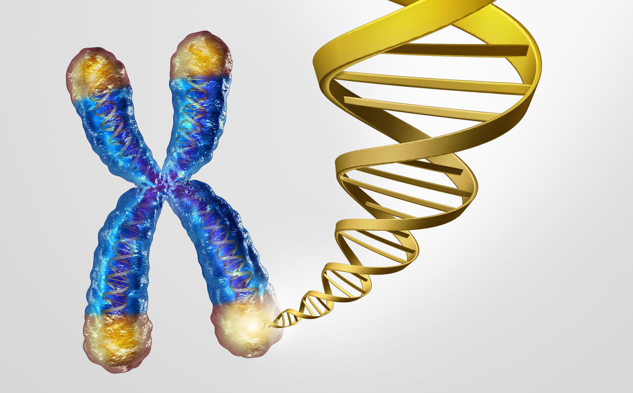 RNA 編輯酶 ADAR1 如何成為癌細胞端粒守護者？