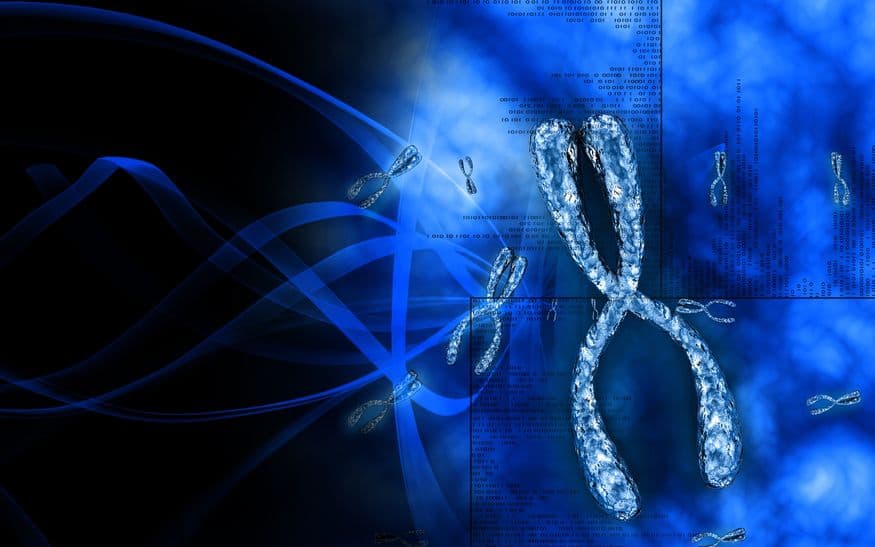 染色體不穩定促癌症轉移！Volastra Therapeutics 攜手 Microsoft 開發數位檢測工具