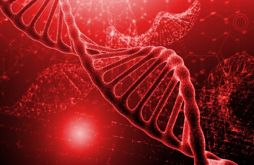 TP53 Companion Diagnostic