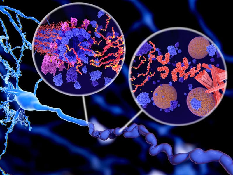ANVS401 IMPROVES COGNITION IN ALZHEIMER’S DISEASE