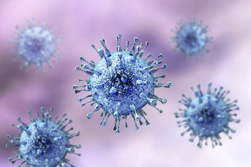 Cytomegalovirus CMV