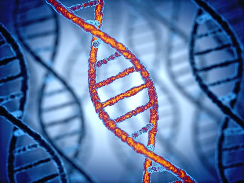 基因編輯 NK 細胞抗癌！CRISPR Therapeutics 攜 Nkarta 開發 CAR-NK