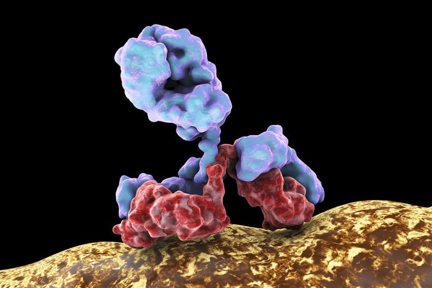 naturally protective antibodies