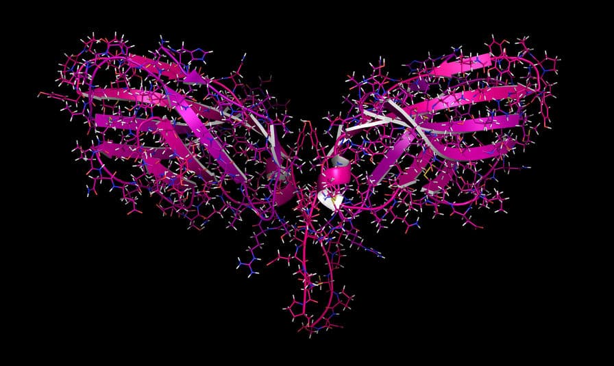 Xilio Therapeutics Announces Clinical Trial Collaboration With Merck
