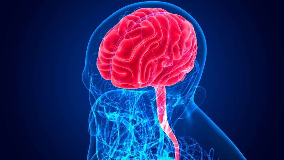frontotemporal dementia