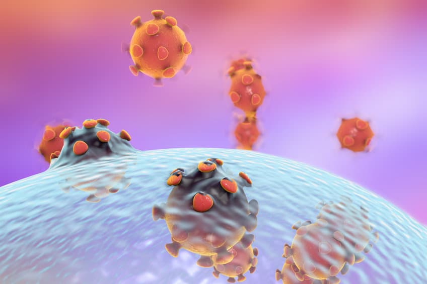 COVID-19-virus