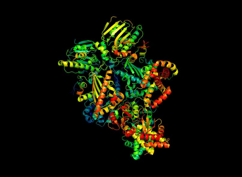 protein-degrader