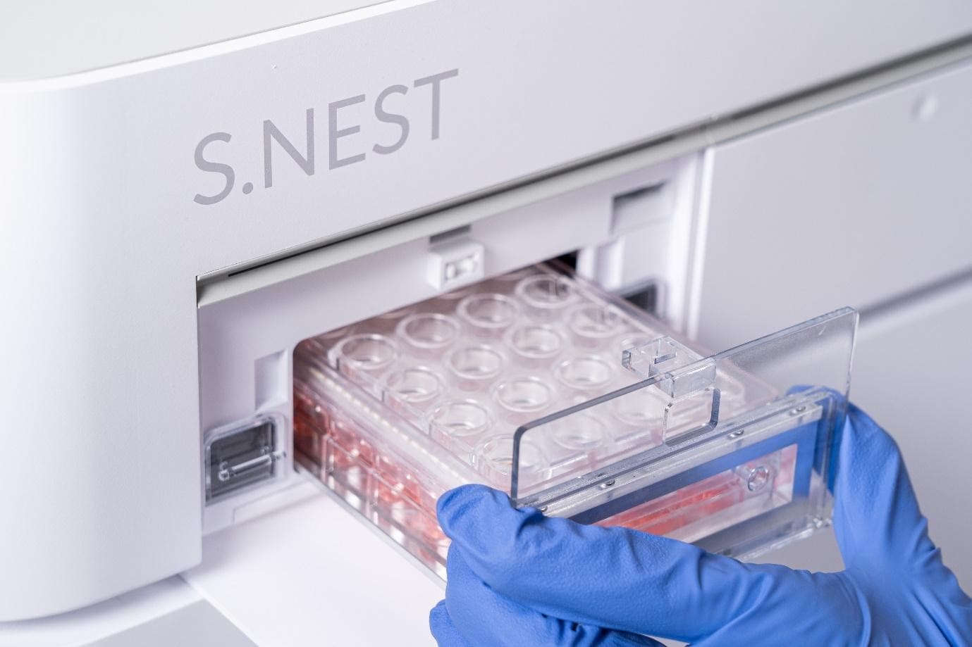 s. nest-cytena