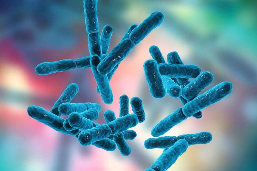 microbiome