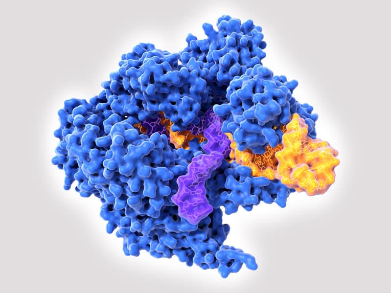 CRISPR