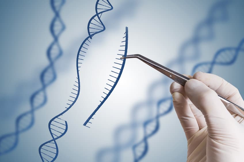 CRISPR-基因編輯