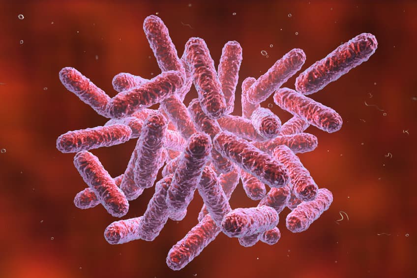 microbe