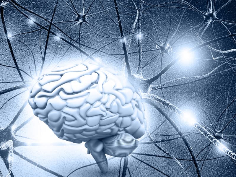 Neuron
