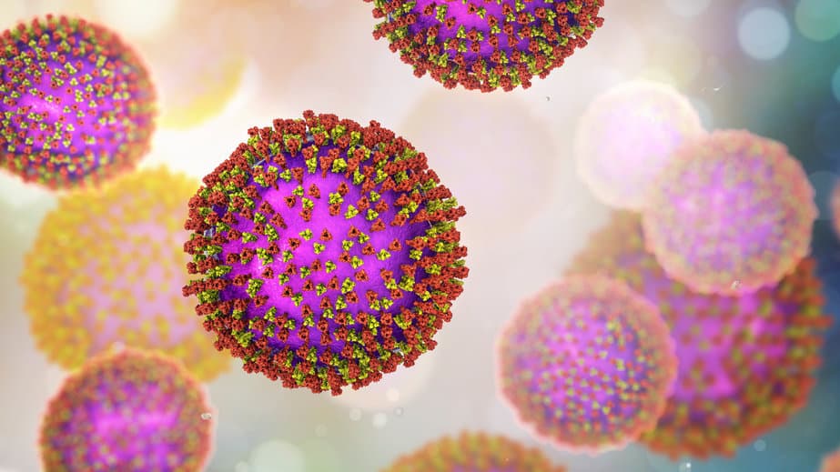 RSV virus