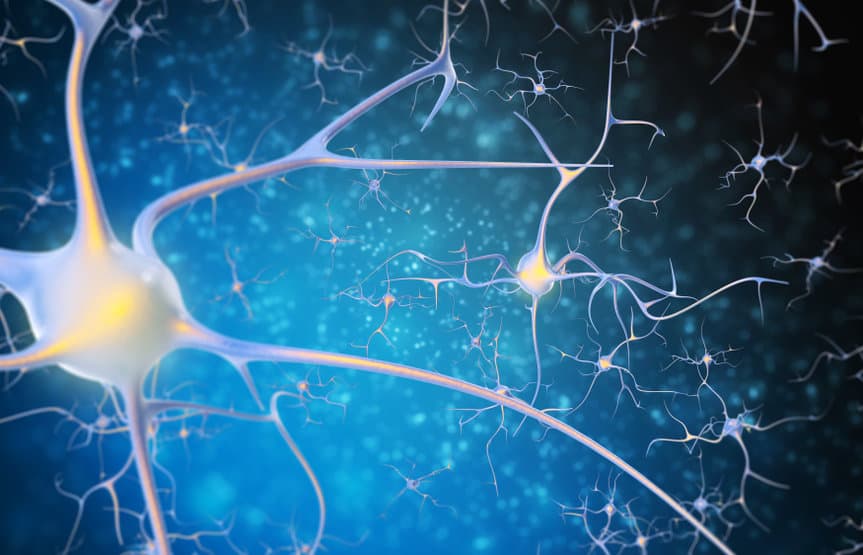 brain-disease-cns