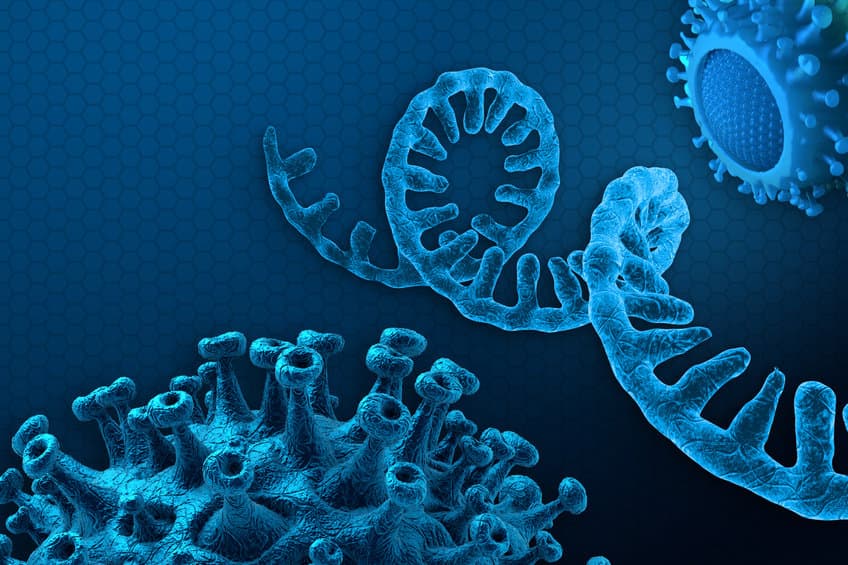 擺脫基因療法脫靶困境！能在人體運作的 RNA 轉譯系統誕生