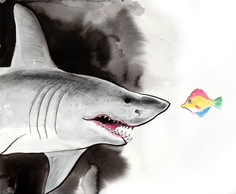 big shark and small fish