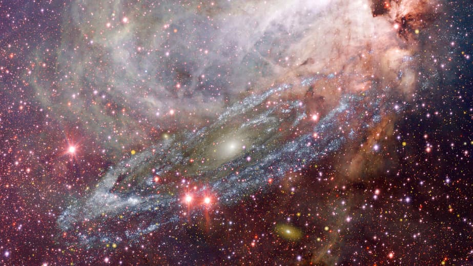 Space Biology