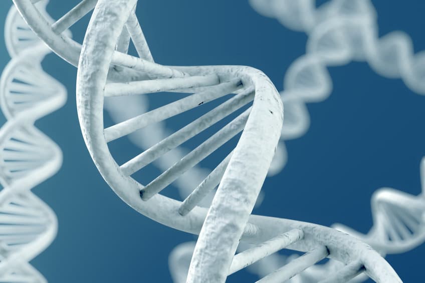 dna