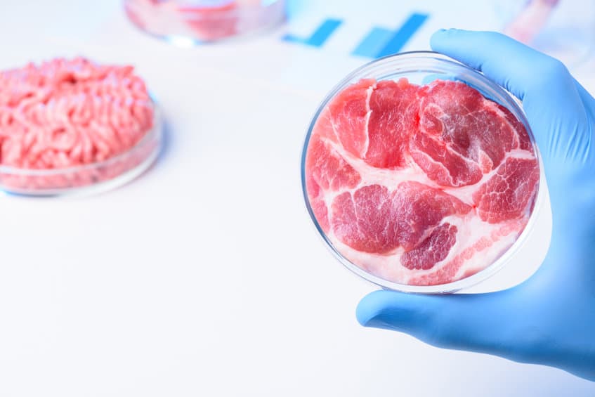 人造肉