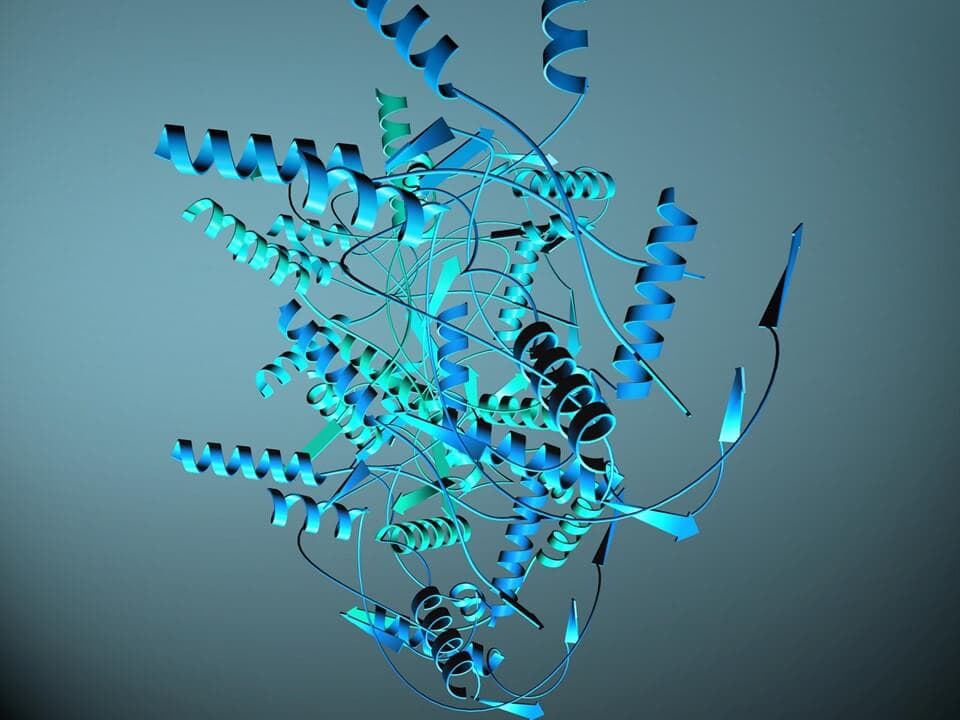 Protein-structure-prediciton-2