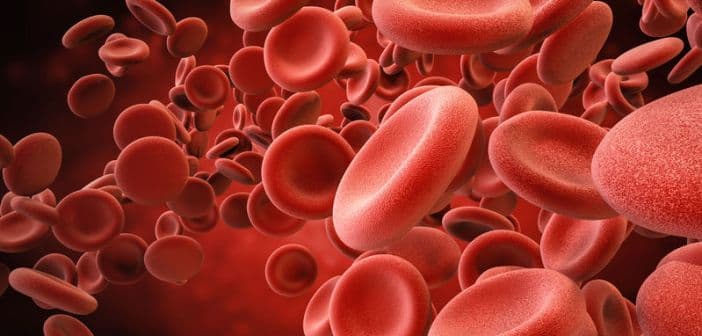 leukemia