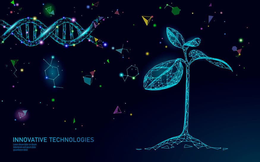 Plant sprout biotechnology