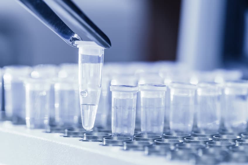 DNA experiment