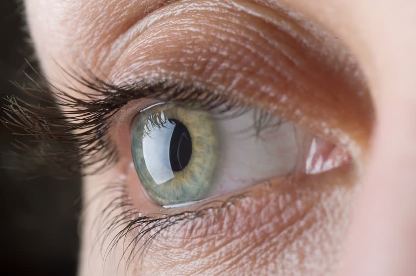 eye