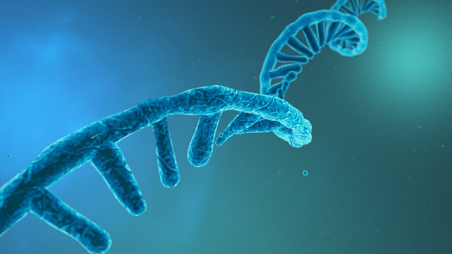 楊森投入 RNA 藥物研發戰局，聯手 Remix 跨入癌症與免疫學領域