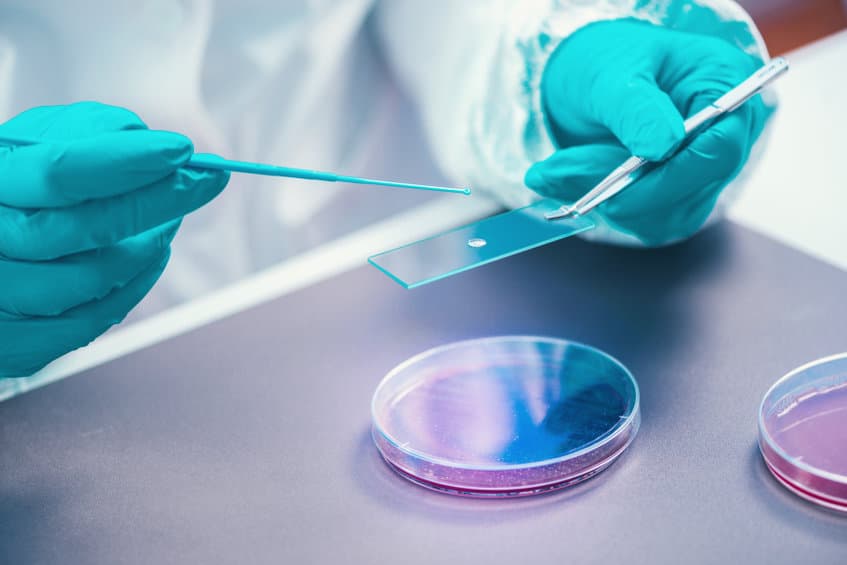 改變陰道微生物菌叢，可望推動全球女性健康