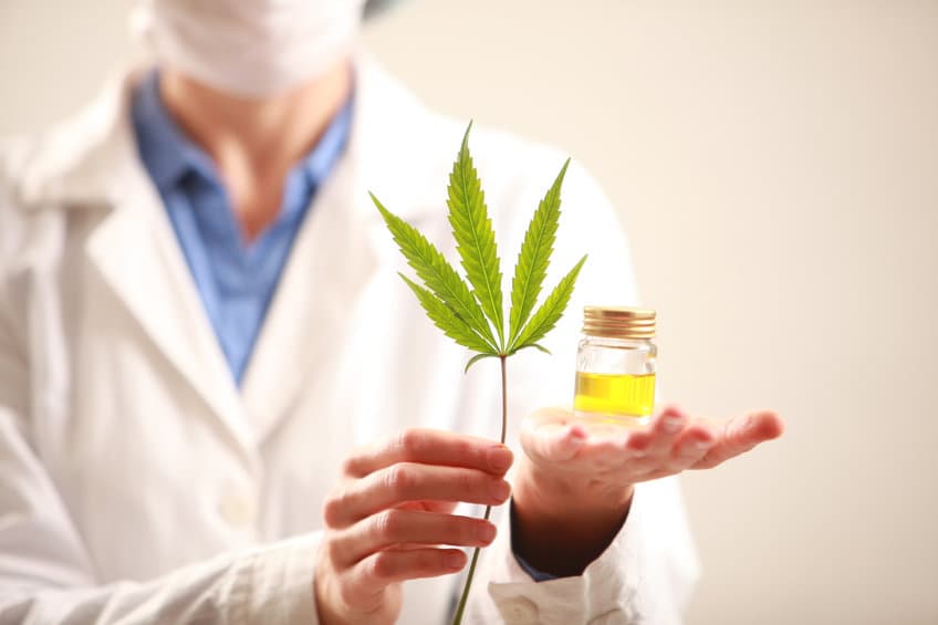 先別急著吃大麻！醫療用大麻增加大麻成癮症風險？
