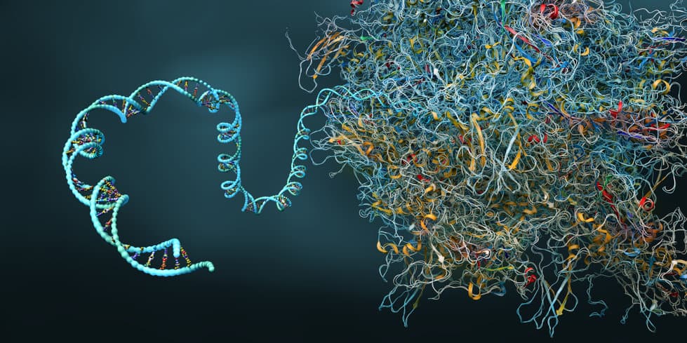 single cell sequencing geneonline