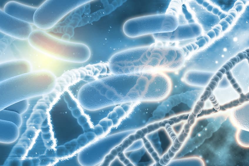 超級細菌怎麼來？細菌透過接合作用交換質體、獲取抗藥性 DNA！