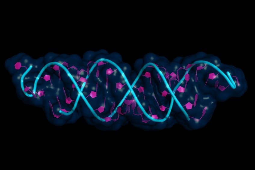 中國大睿生物 （Rona Therapeutics)   聯手賽諾菲，針對 siRNA 治療及技術平台簽署獨家許可