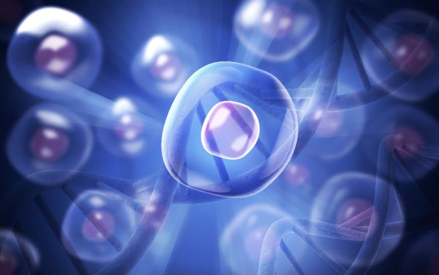 single cell sequencing