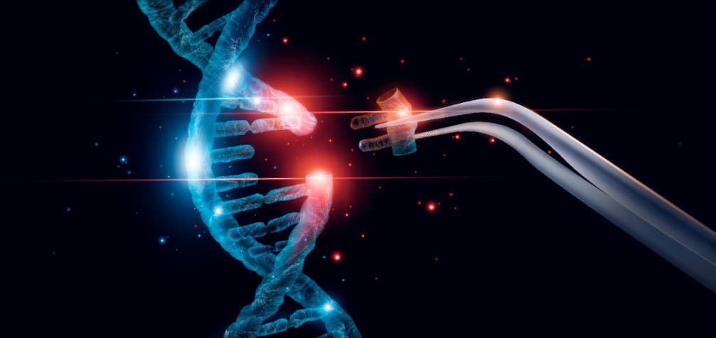 利弊相依！基因剪刀 CRISPR 可能破壞基因組穩定性