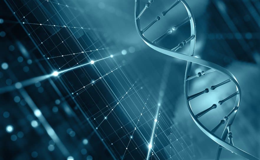 具開發潛力的基因編輯技術！美康乃爾研究揭 CRISPR 新機轉！