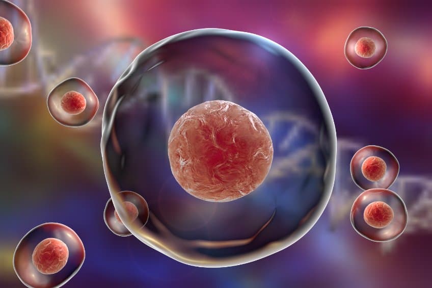 iPSC 基因安全嗎？近 75% 皮膚幹細胞因暴露紫外線有嚴重 DNA 損傷