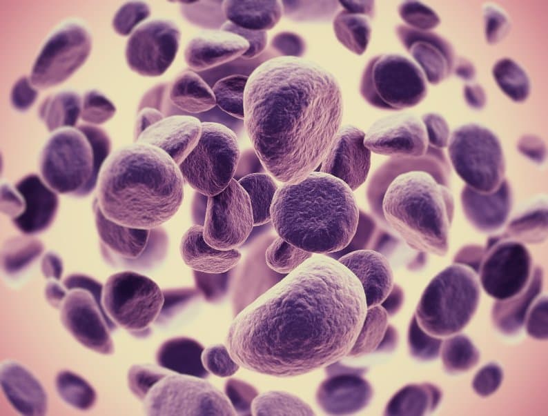 single cell sequencing geneonline
