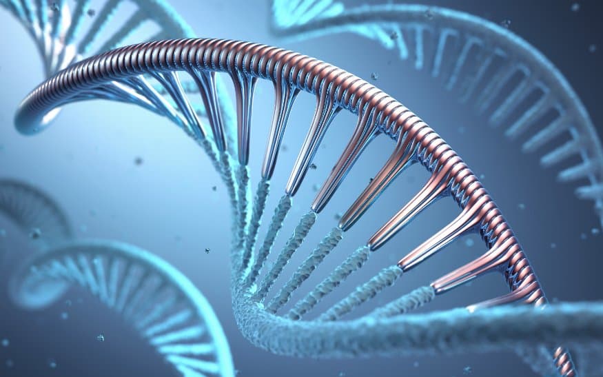synthetic biology
