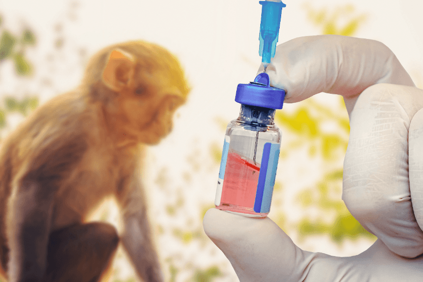 又一猴子病毒恐對人類造成威脅？美研究揭該病毒鎖定人體細胞內關鍵受體