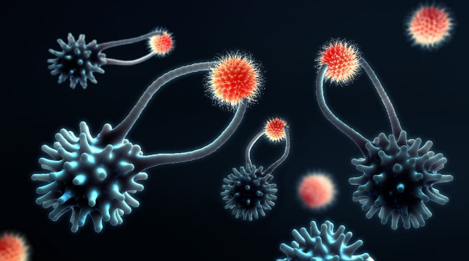 怎麼躲避免疫系統?科學家用 DNA 條碼標記癌細胞找線索