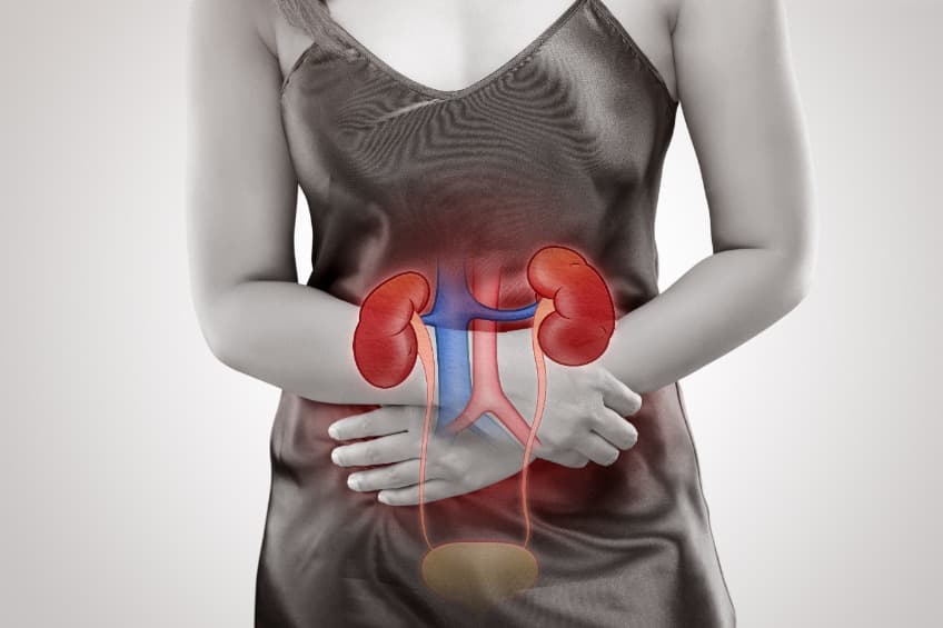 檢測尿液中的細胞外囊泡，有助於發現兒童早期 CKD