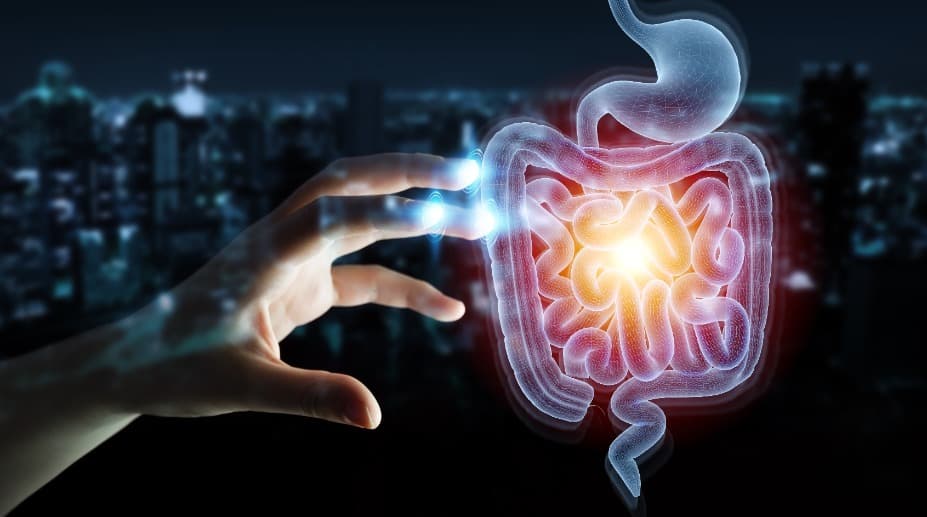 渴望健美的身材?增加腸道菌可能是一種提高運動的動機方法