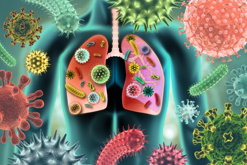 用細菌抵抗腫瘤 ? 細菌療法或許是攻克肺癌新利器