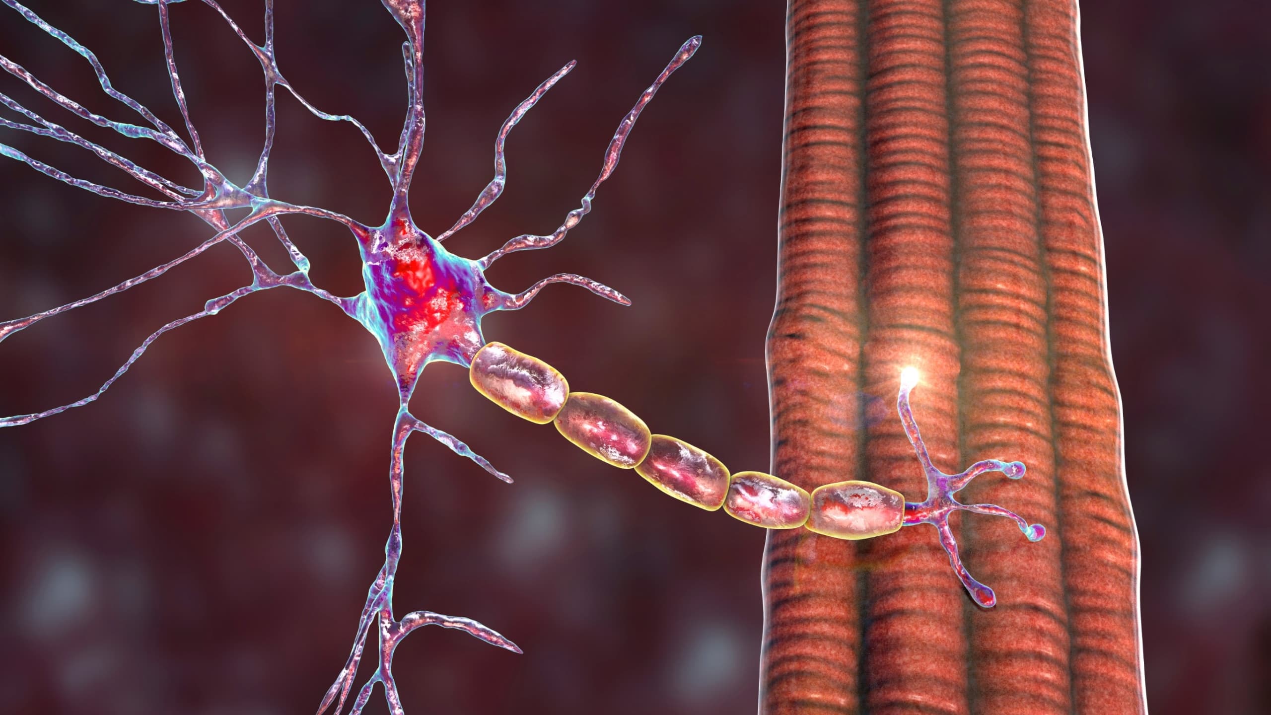 Entrada Therapeutics 與 Vertex 達成合作協議，共同研發 EEV 療法以治療神經肌肉疾病
